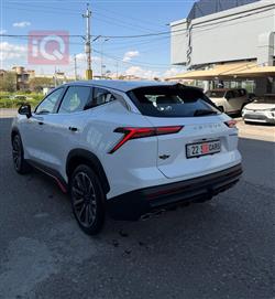 جيتور داشينج